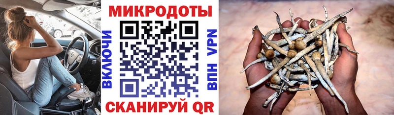 Псилоцибиновые грибы мицелий  купить закладку  Артёмовский 